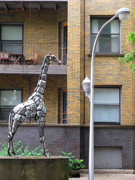 Giraffe in the street!