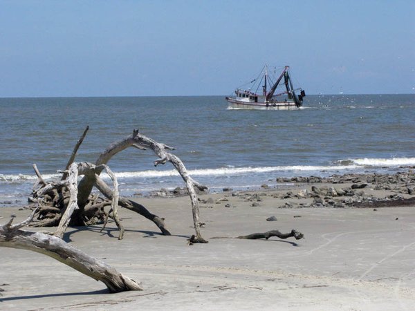 Shrimp Boat