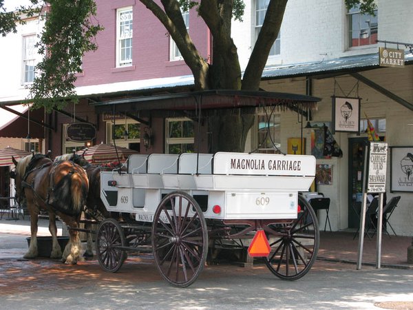 Horse and Carriage Rides