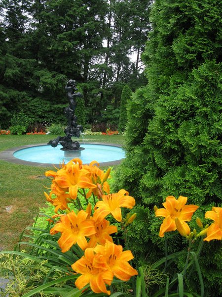 Flowers and Fountain at Princeton