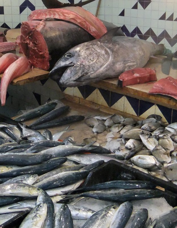 Sousse Fish Market