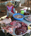 The pig lady on the market