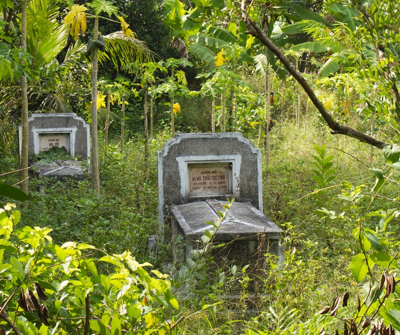 Jungle cemetery