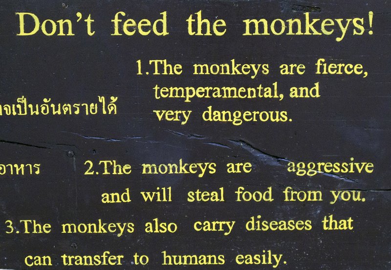 Don't feed the monkeys!