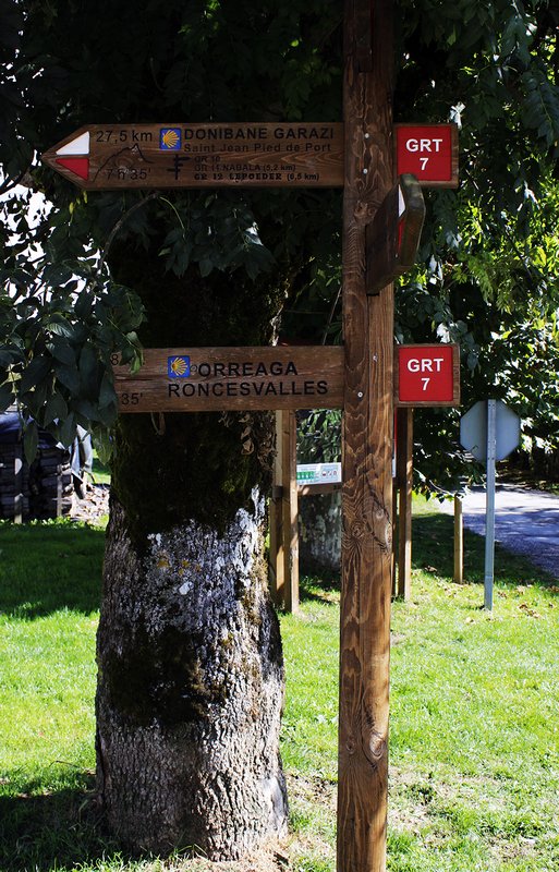 Camino Signposts