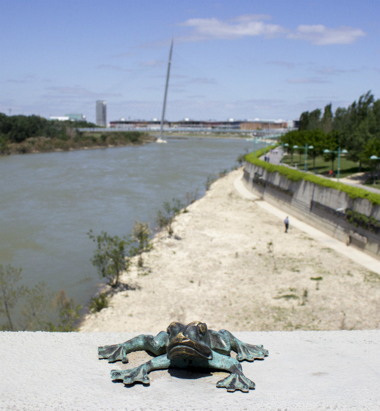 Frog on the bridge