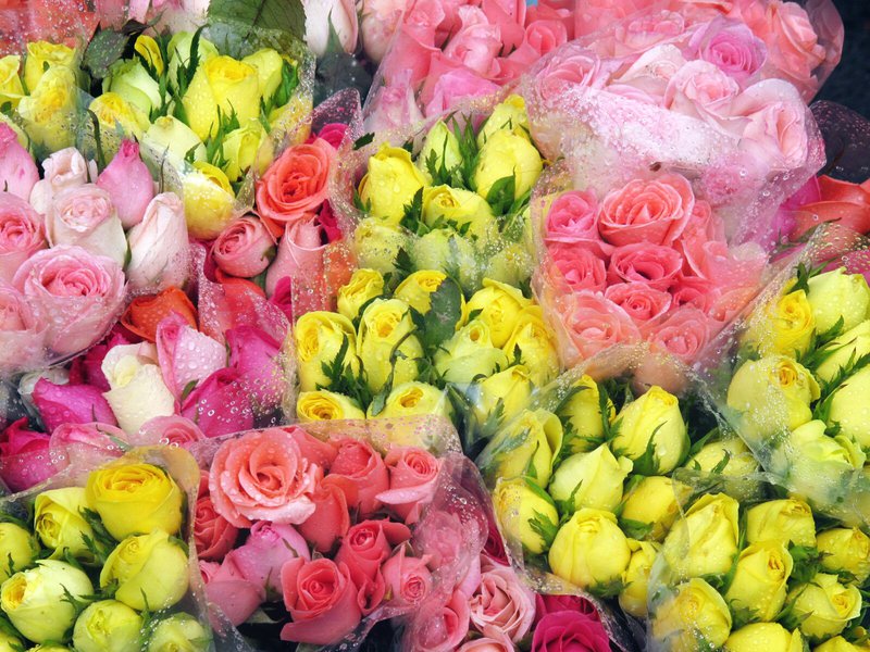 Flowers on the market