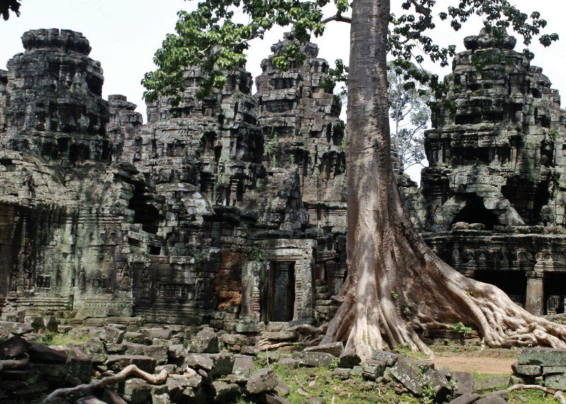More tree covered temples