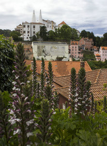 Beautiful views of Sintra