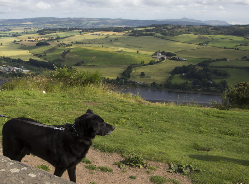 Pele looks down on the Tay in Perth