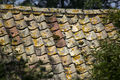Intriguing Tiled Roof