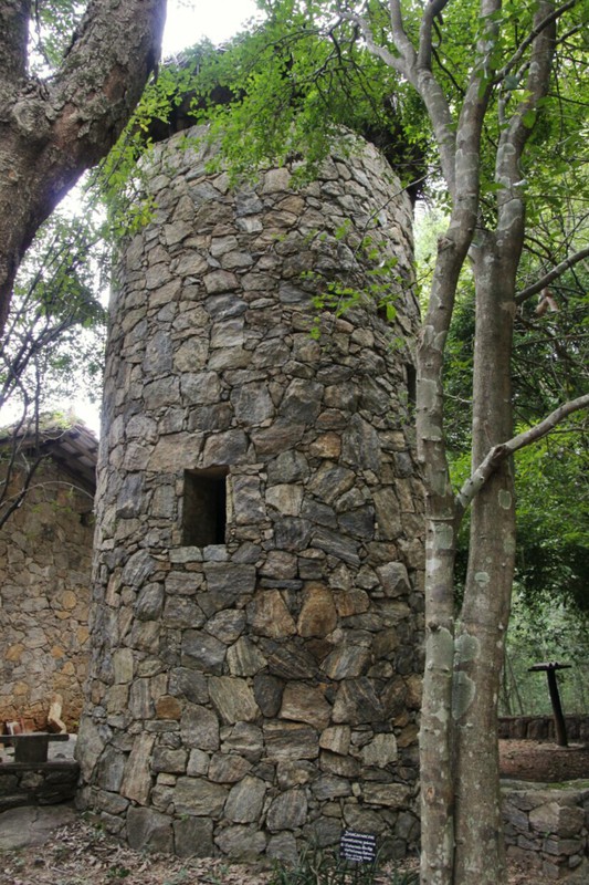 Tower at the arboretum