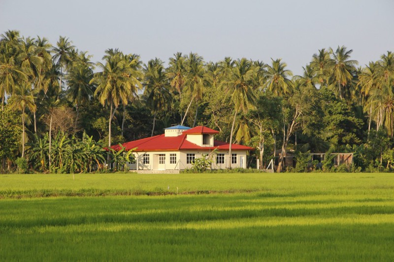 Rice plantation house