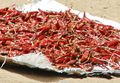 Drying chilies