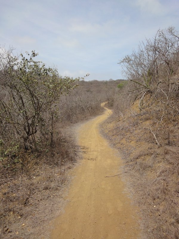 Machalilla Nationalpark
