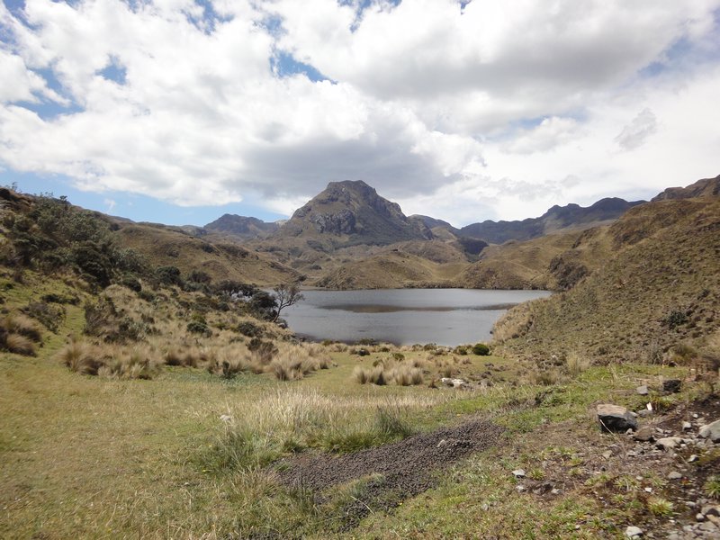 Cajas NP