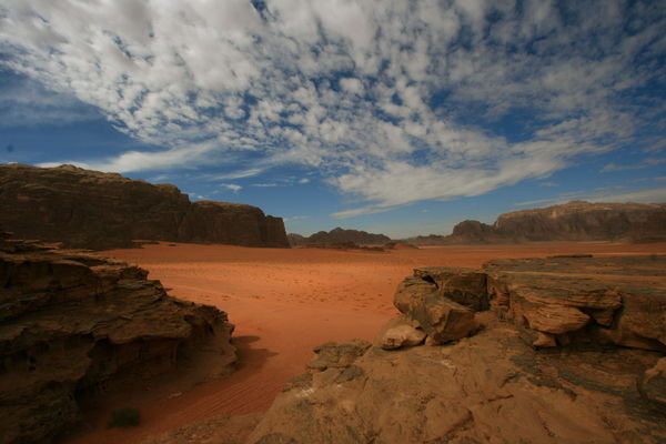 Winter Desert Landscape