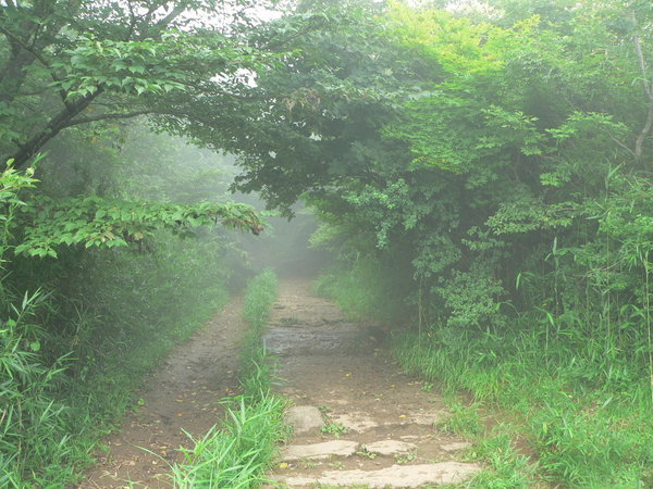 Climbing trail to Mt Tsukuba