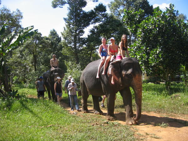 Elephanting