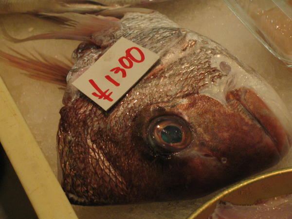 Fish head Fish head
