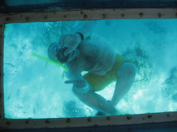 HELP HELP....I´m trapped under the glass-bottomed boat