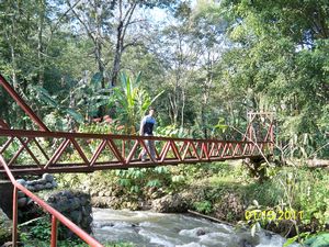 coffee plantation walk