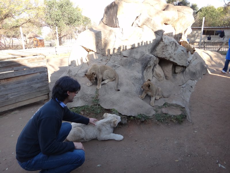 Dario with a lion cub