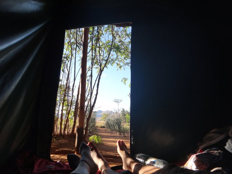 view out of the tent