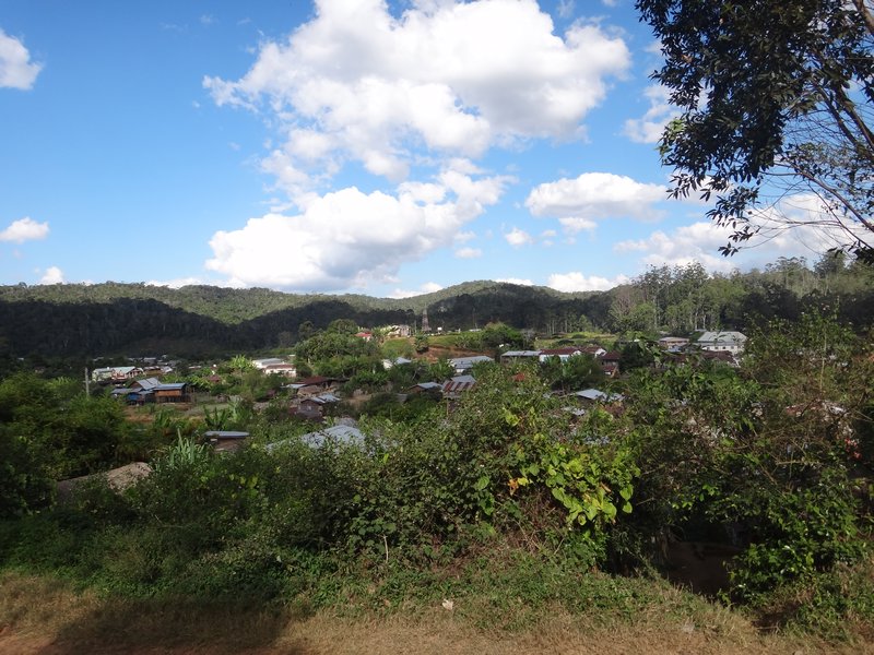 view of andasibe village