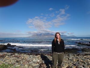 view from Robben Island of Table Mtn