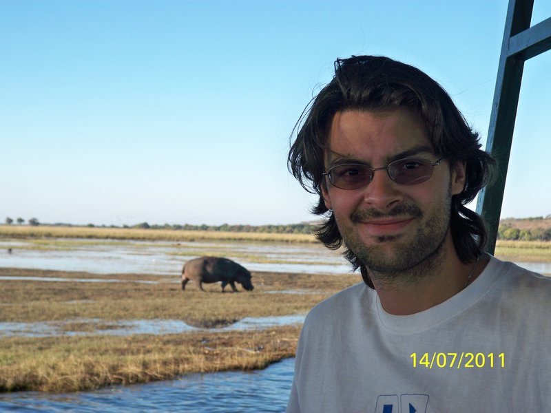 hippo (and dario) in Chobe 