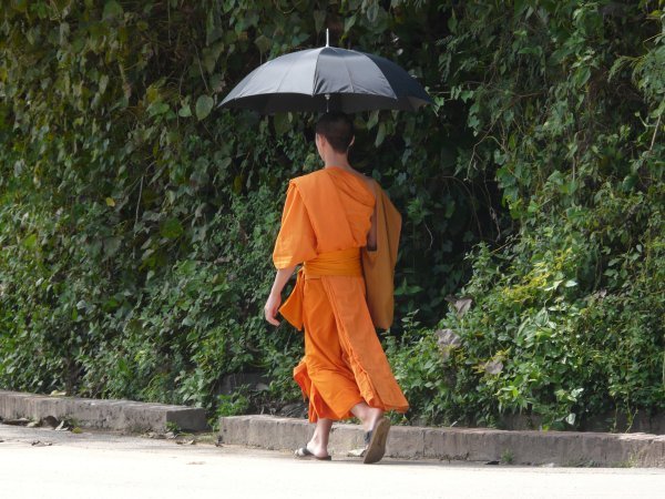 Lao Monk