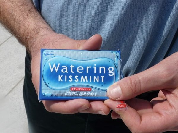 Watering Kissmint