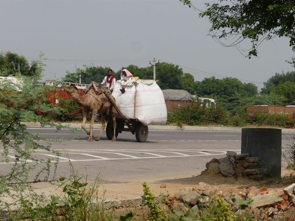 Rural Rajasthan