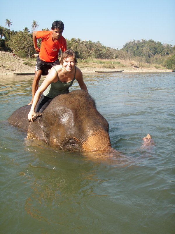 Amy Bathing Elephant
