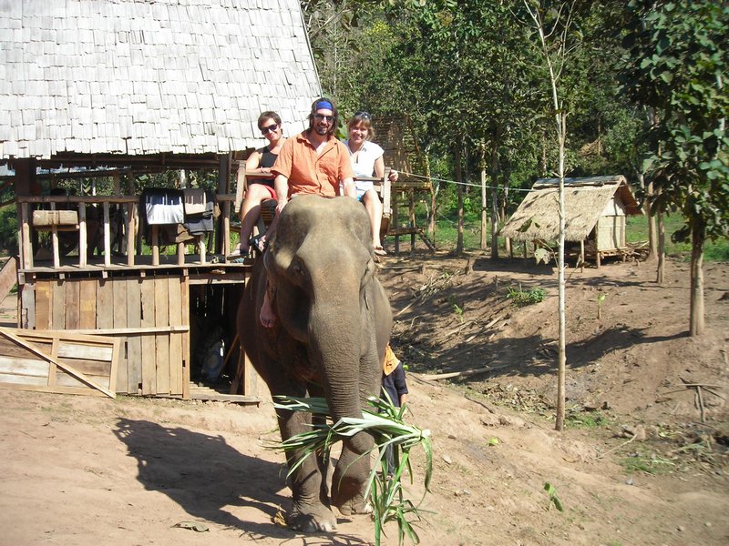 Riding the Elephant