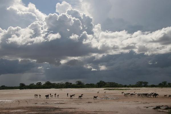 Goats and Clouds
