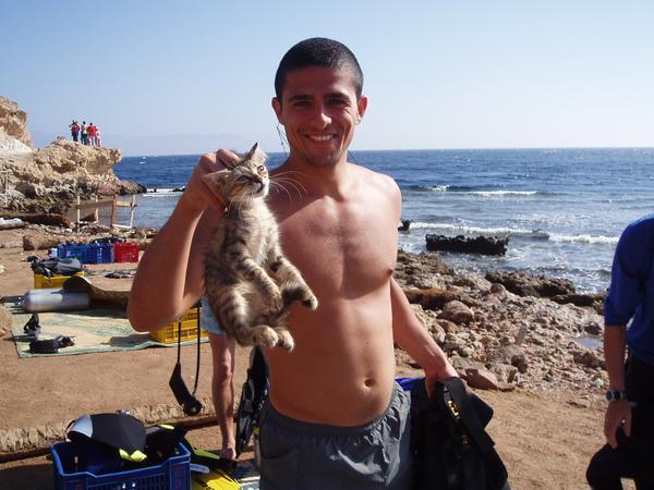 Cat by the neck before dive