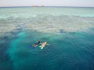 Red Sea Snorkelling