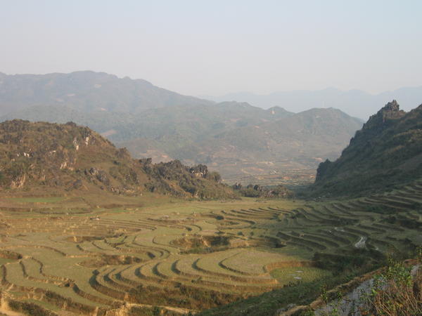 A terraced landscape in Sapa