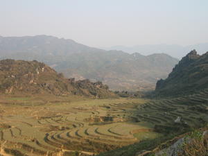 A terraced landscape in Sapa