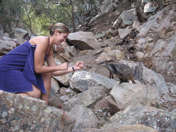 The Rock Wallaby "Rocky" and I