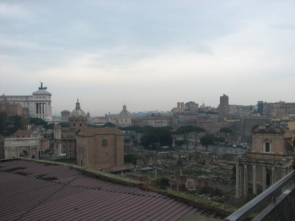 View from the Palatino