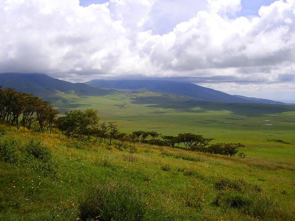 The Serengeti - Kenya