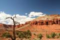 Capital Reef National Park - Clear View