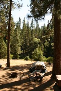 Yosemite National Park - Wawona Campground