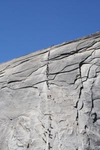 Yosemite National Park - Ants Marching