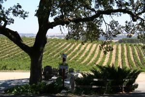 Paso Robles - Wine Country