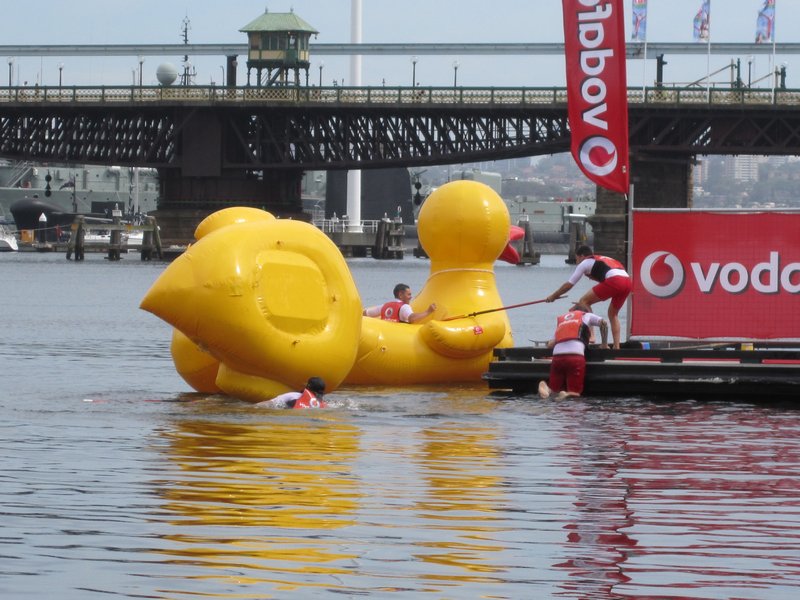 Another capsized Rubber Duck