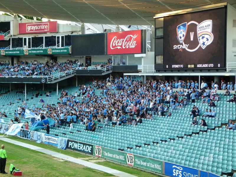 The dedicated Sydney FC fans